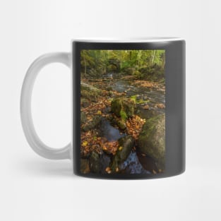 Maybeck Autumn Colours Mug